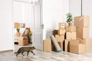 Super Budget Movers Packers in Ras al Khaimah