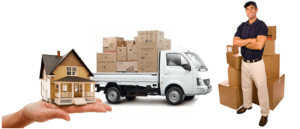 Professionals Movers and Packers in Dubai
