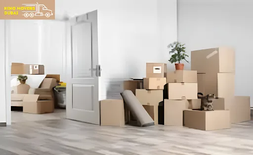 A room filled with boxes and a cat sitting on the floor, representing local moving services in Dubai.