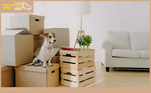 pet relocation services in Dubai