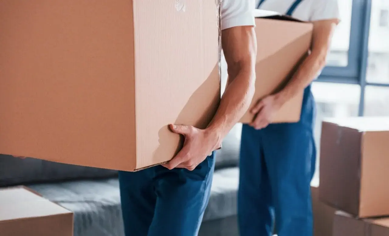 movers in dubai